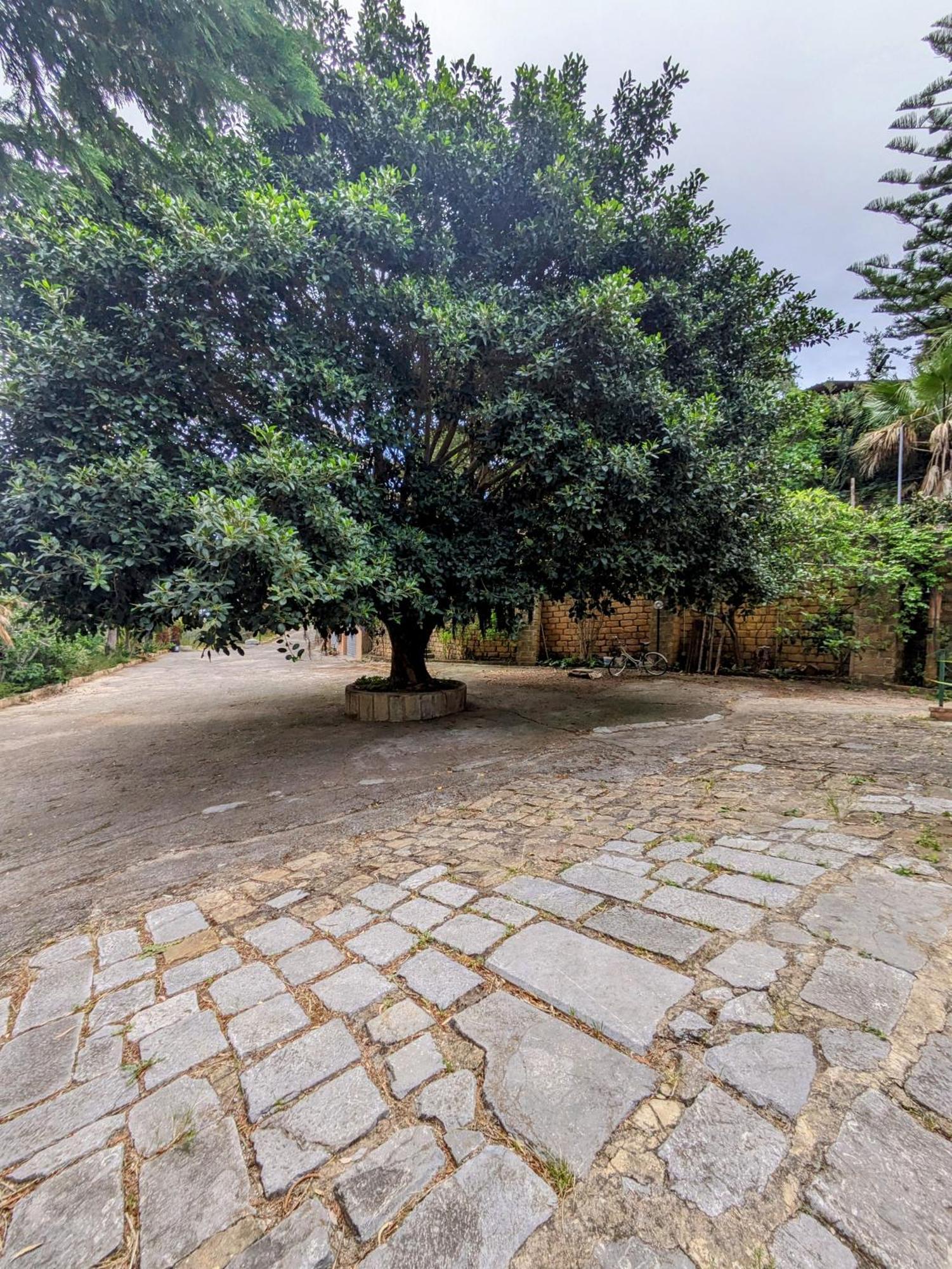 Terra Mia Apartman Cefalù Kültér fotó