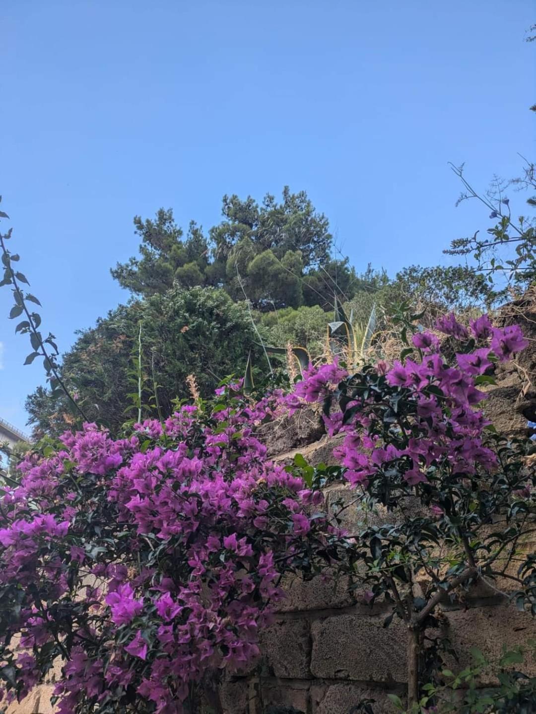 Terra Mia Apartman Cefalù Kültér fotó